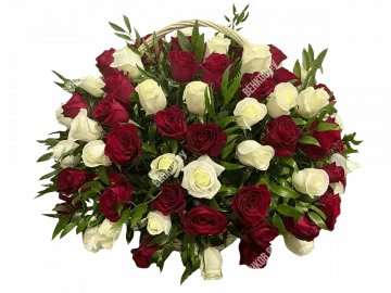 Ритуальная корзина из живых роз (красно-белая) круглая (50х50 см)